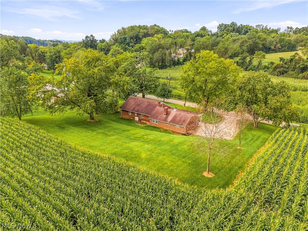 3633 Blacksnake Hill Road Northeast Dover, OH 44622 - Photo 24 of 38 Brick exterior residence with a red shingle roof, surrounded by expansive green lawn, mature trees, and agricultural fields
