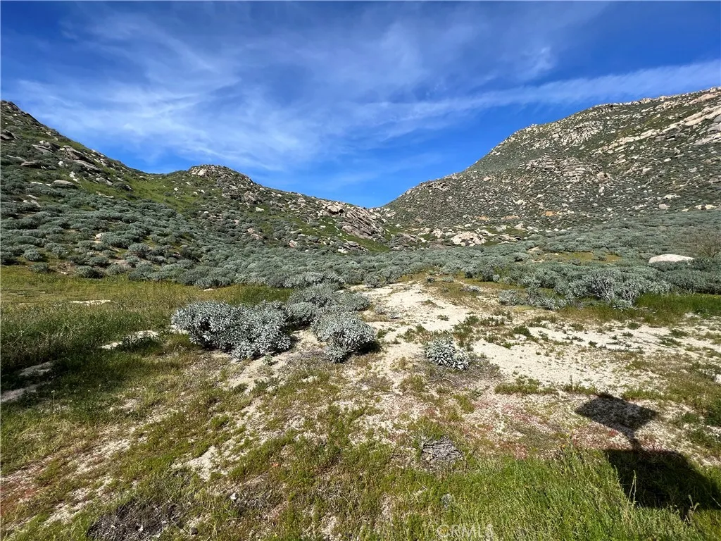a view of a large building with lots of trees