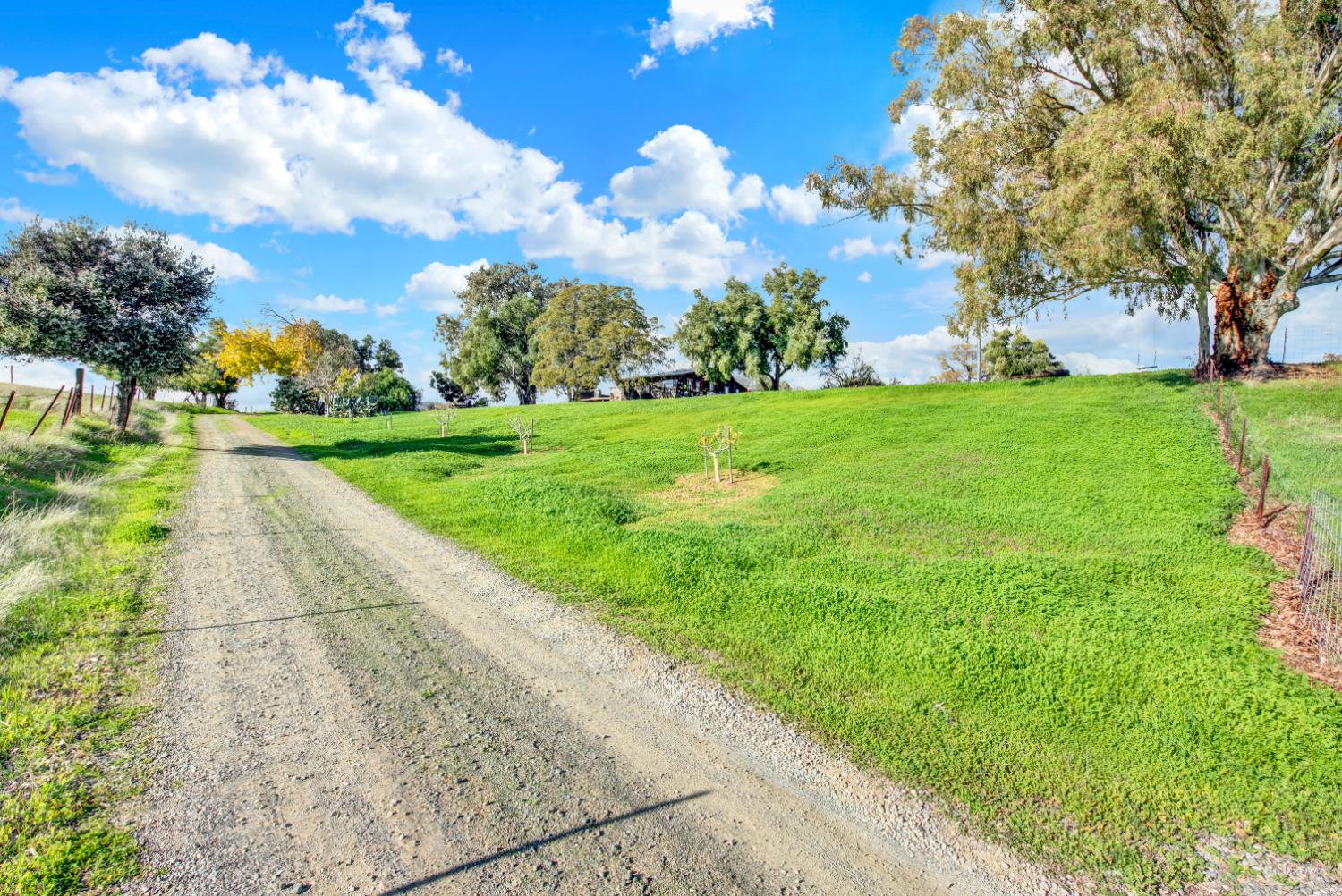 26300 Highway 128 Winters, CA 95694 - Photo 11 of 71