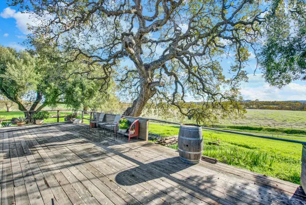 a view of a park with large trees