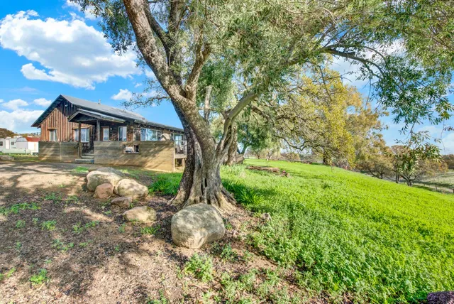 a view of a yard with an trees