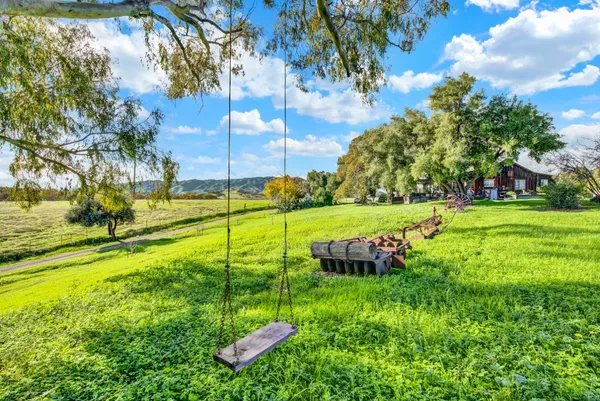 a view of backyard with tree
