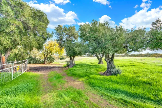 a view of an ocean with a big yard