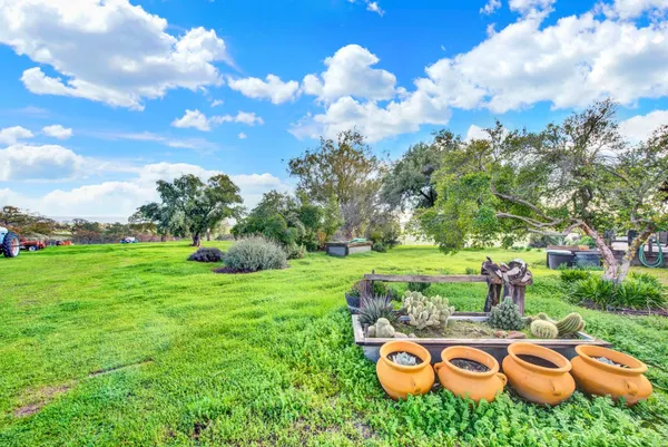 a view of a big yard