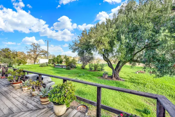 a view of a garden with a bench