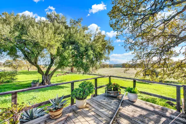a view of a field with a tree in the background