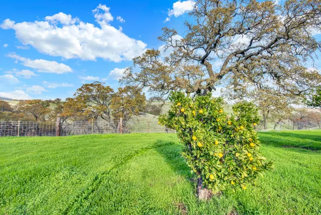 an aerial view of residential houses and outdoor space