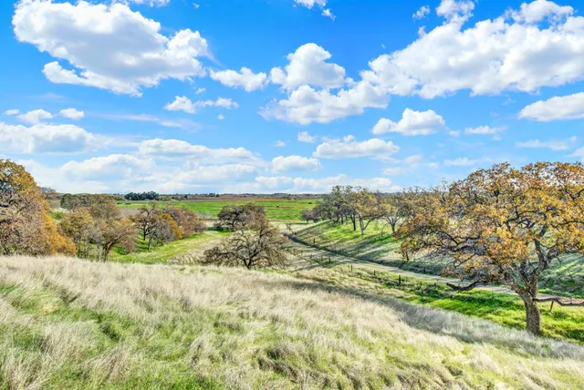 a view of a field with an ocean