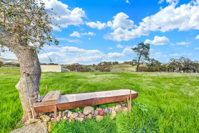 a view of a garden with a pathway
