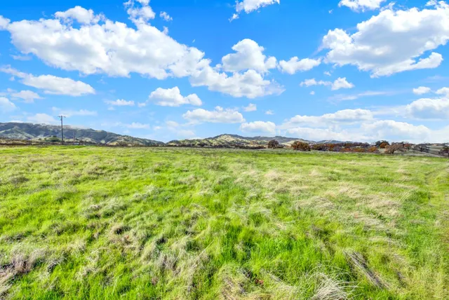 a view of a garden with a pathway
