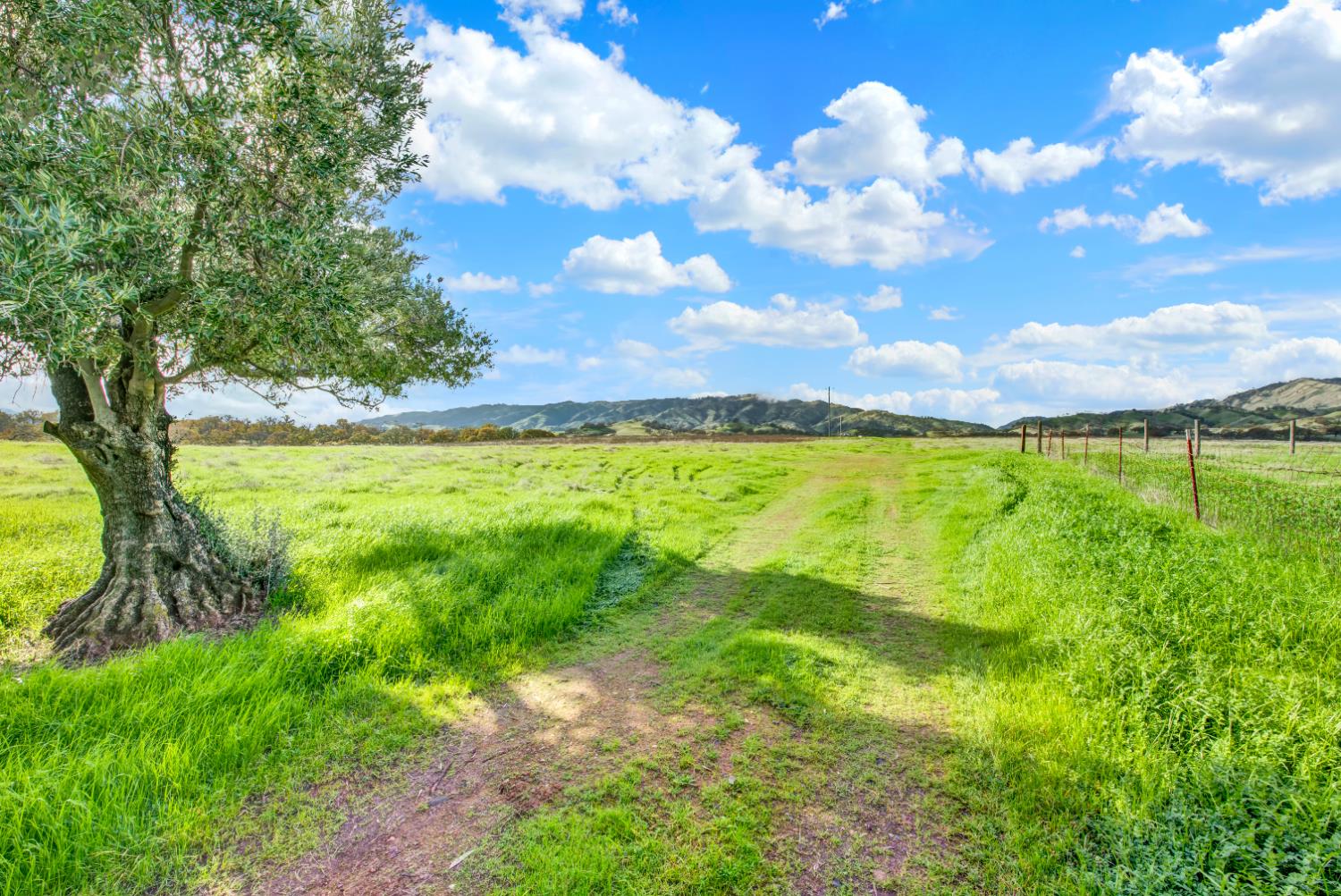 26300 Highway 128 Winters, CA 95694 - Photo 43 of 71