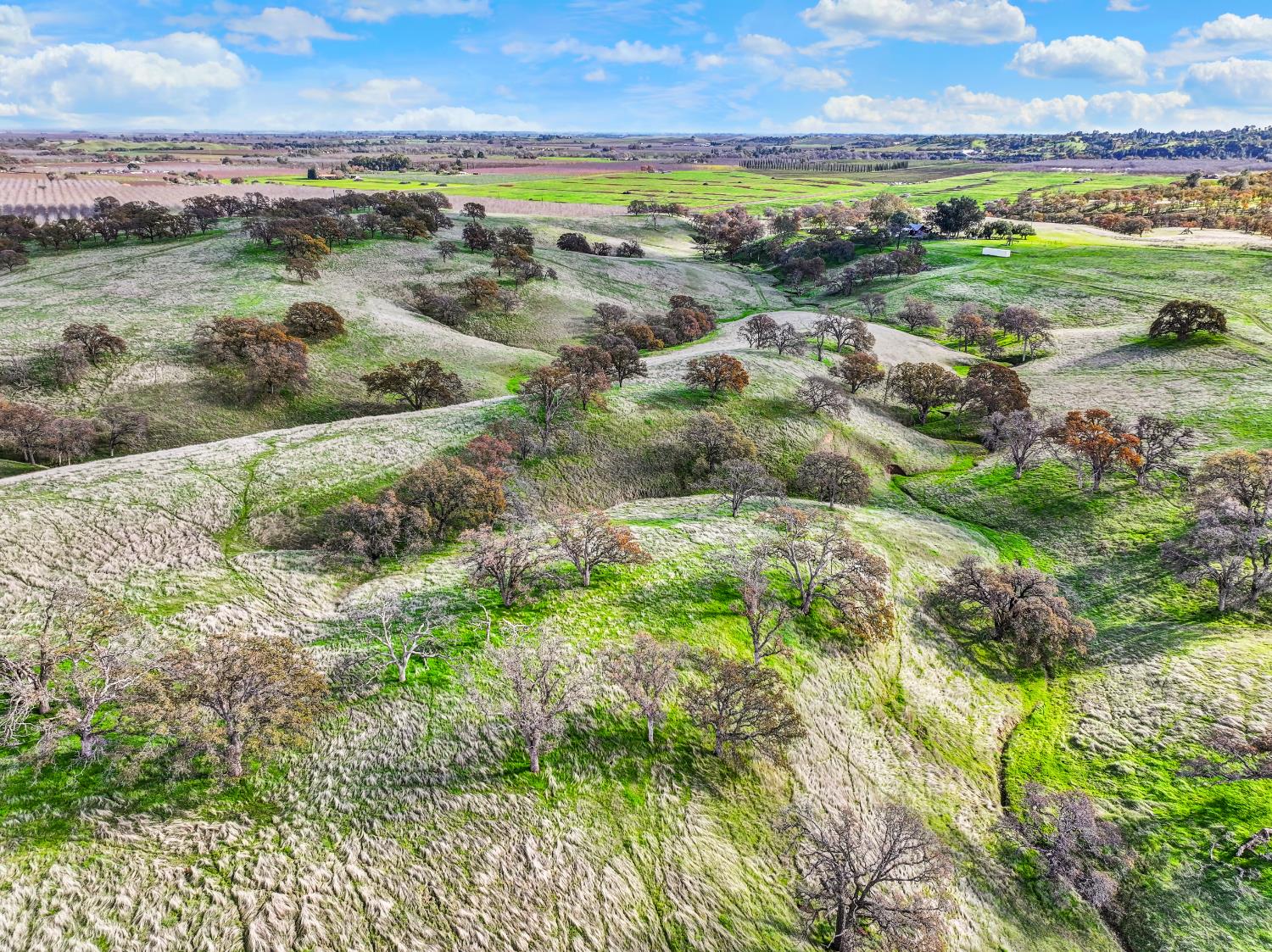 26300 Highway 128 Winters, CA 95694 - Photo 54 of 71 an aerial view of residential houses and outdoor space