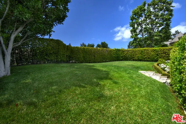 a view of a grassy field with trees in the background