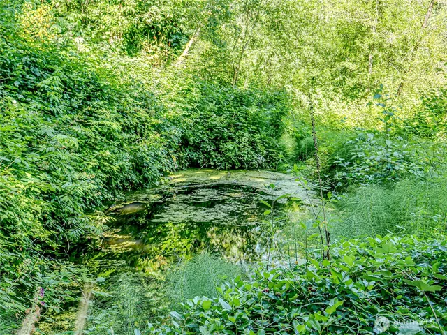 a view of a lush green forest