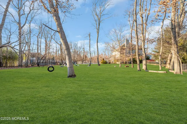 a view of a park with large trees