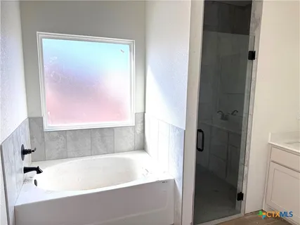a bathroom with a bathtub and shower