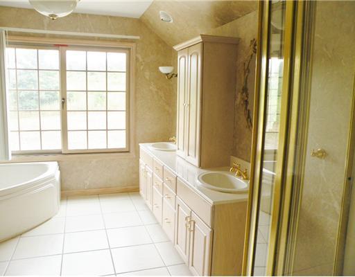 48 McBride Road Canonsburg, PA 15317 - Photo 11 of 18 Master Bath/Spa.