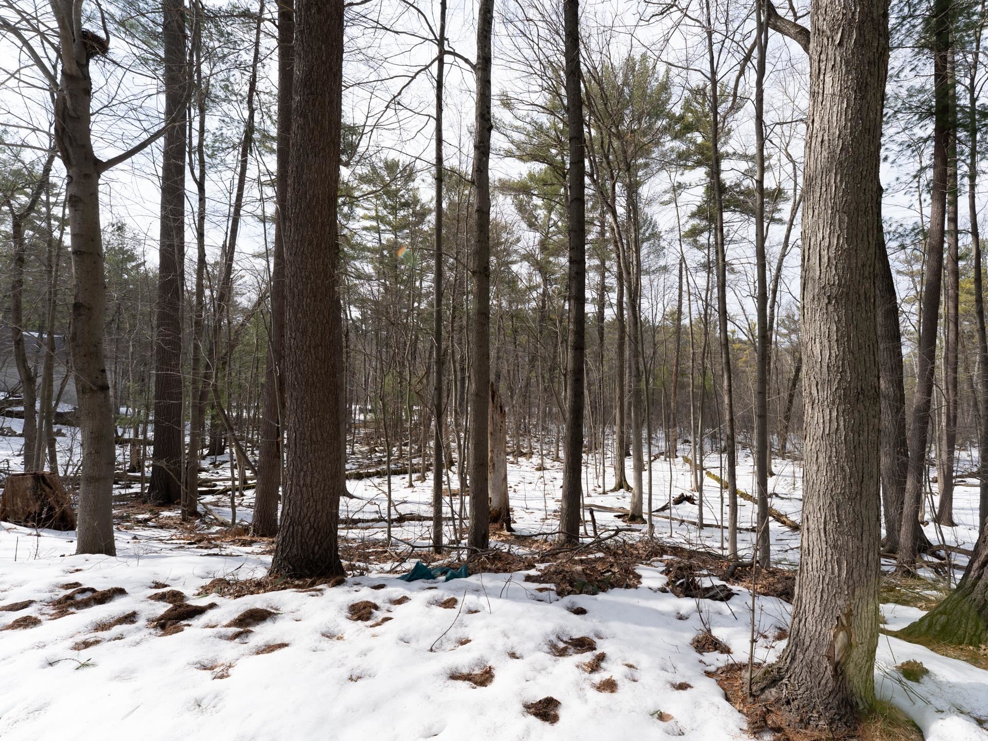 Pine Ridge Lane, Unit 27 28 Waupaca, WI 54981 - Photo 6 of 8