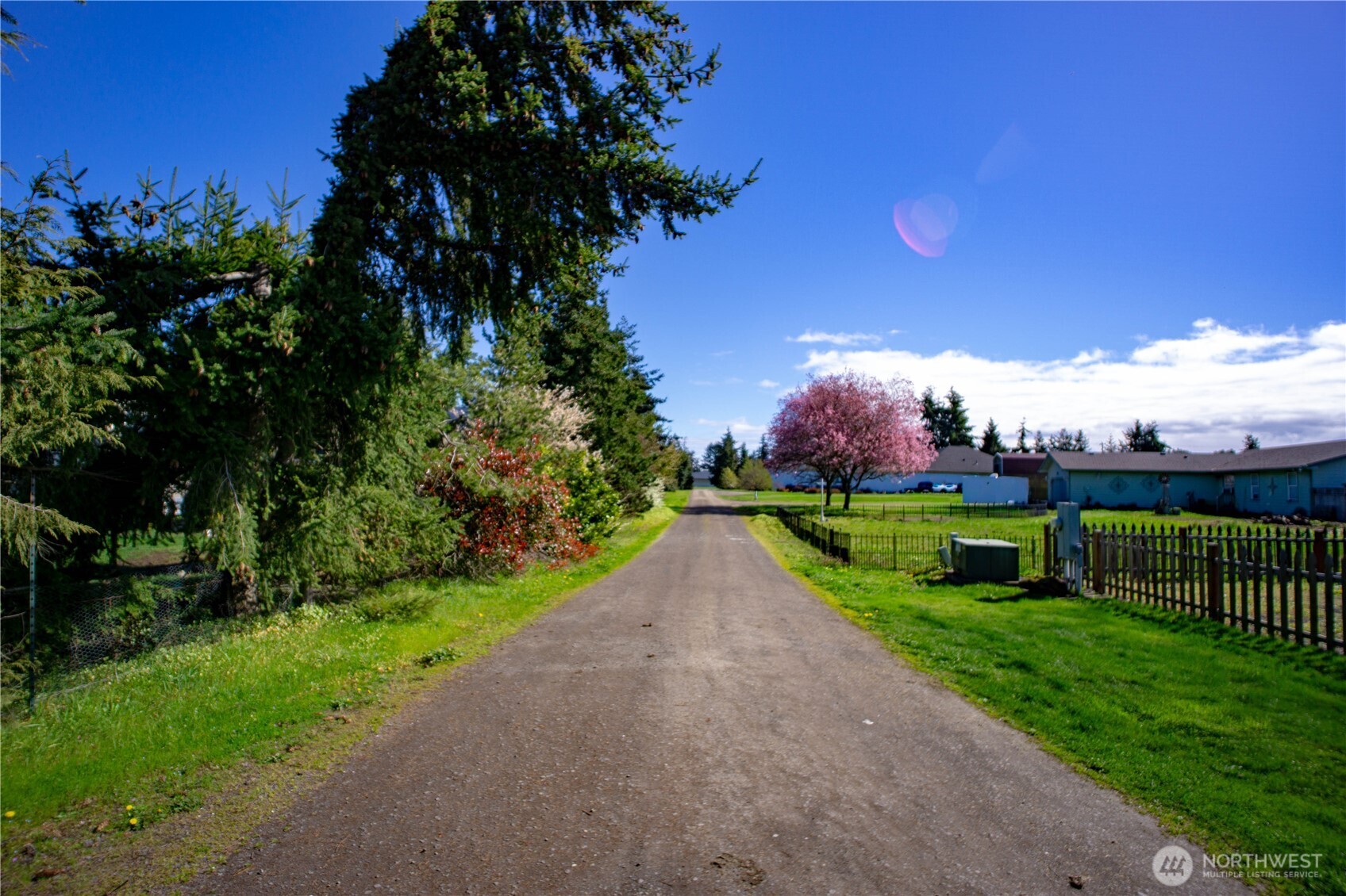 787 North Kendall Road Sequim, WA 98382 - Photo 35 of 40 a view of a street with a big yard and a large tree