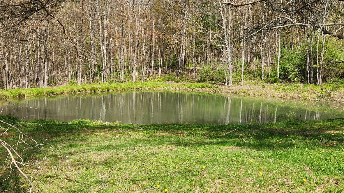 185 Lawrence Road Newark Valley, NY 13811 - Photo 11 of 50
