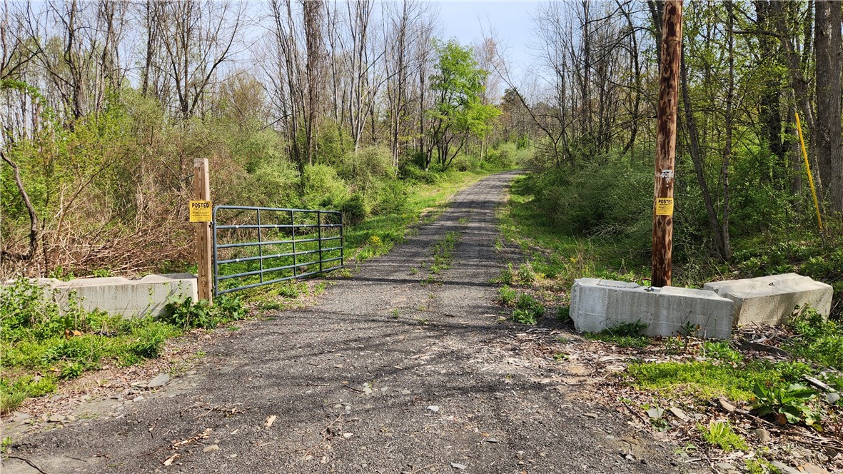 185 Lawrence Road Newark Valley, NY 13811 - Photo 12 of 50
