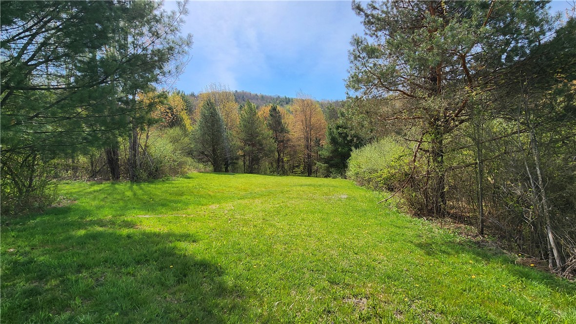 185 Lawrence Road Newark Valley, NY 13811 - Photo 14 of 50