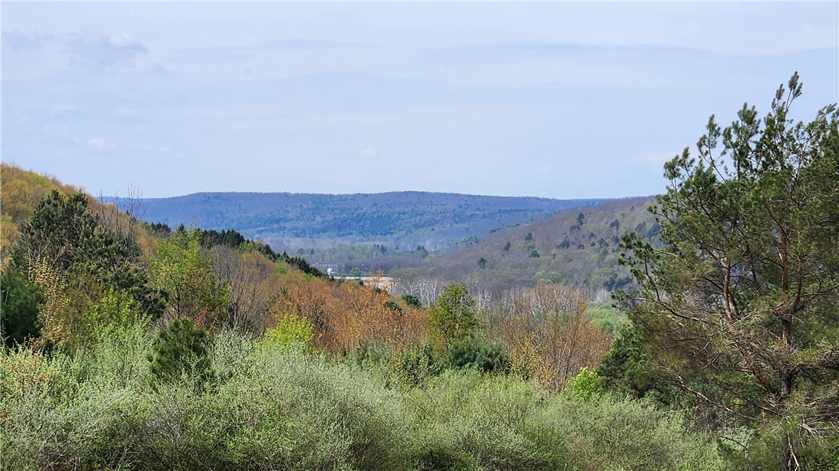185 Lawrence Road Newark Valley, NY 13811 - Photo 29 of 50