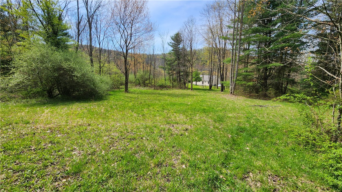185 Lawrence Road Newark Valley, NY 13811 - Photo 32 of 50