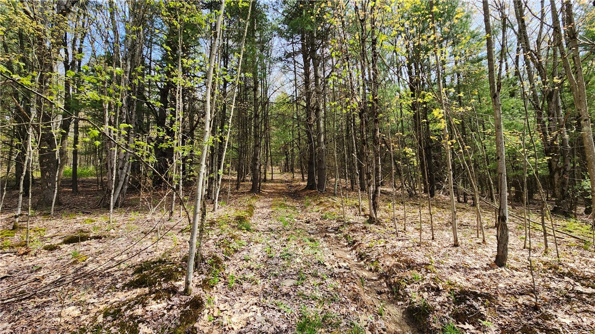 185 Lawrence Road Newark Valley, NY 13811 - Photo 33 of 50