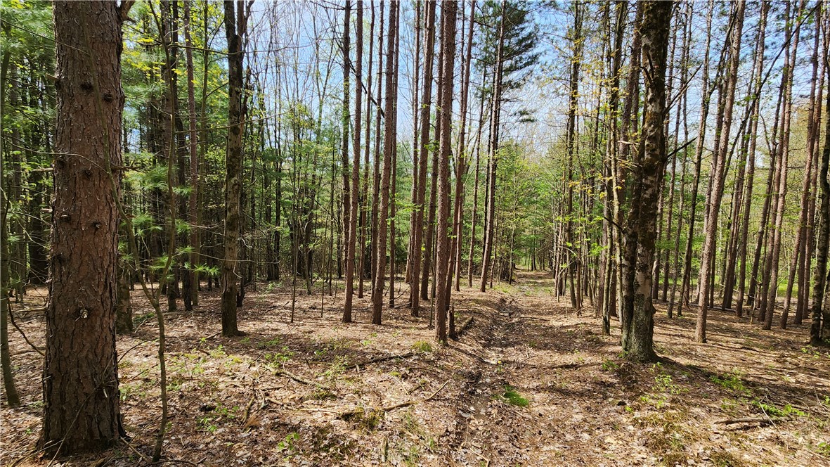 185 Lawrence Road Newark Valley, NY 13811 - Photo 34 of 50