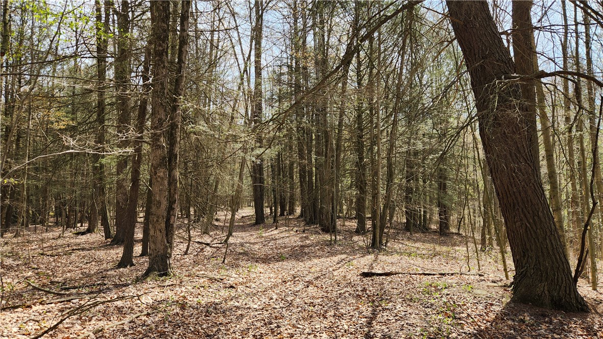 185 Lawrence Road Newark Valley, NY 13811 - Photo 37 of 50