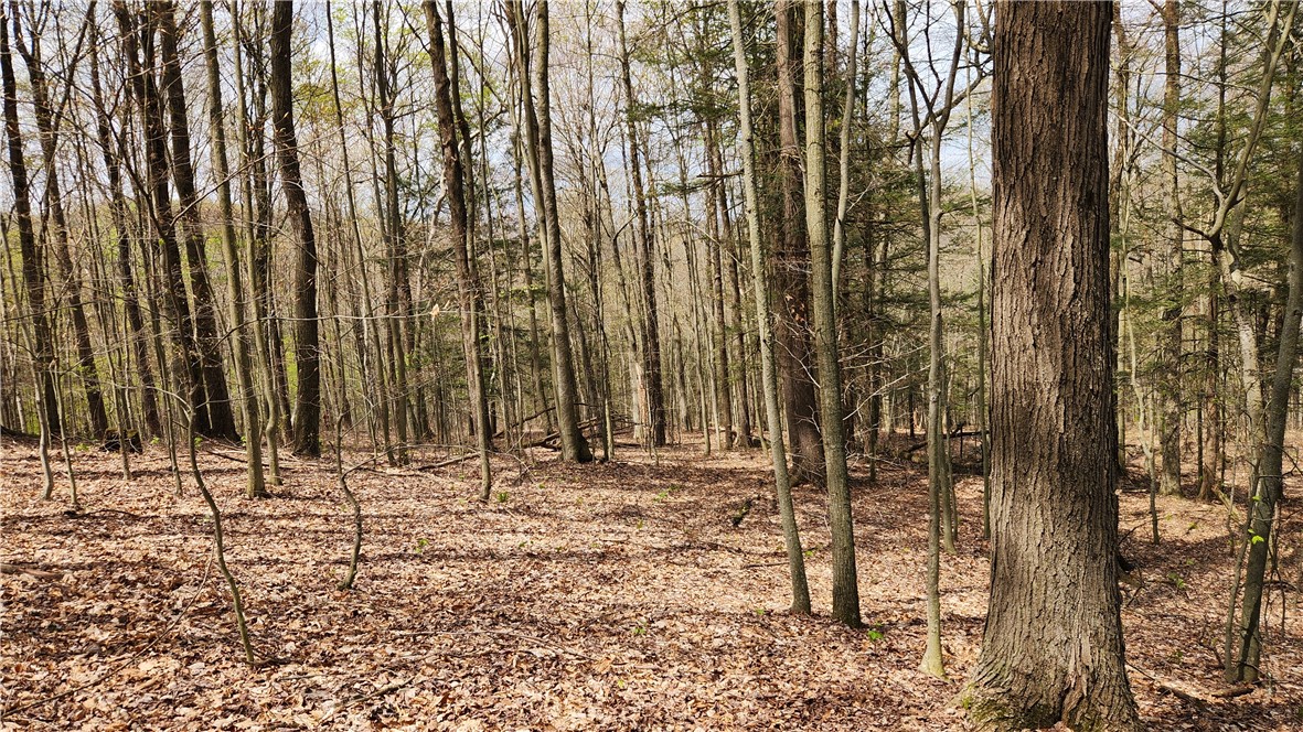 185 Lawrence Road Newark Valley, NY 13811 - Photo 38 of 50
