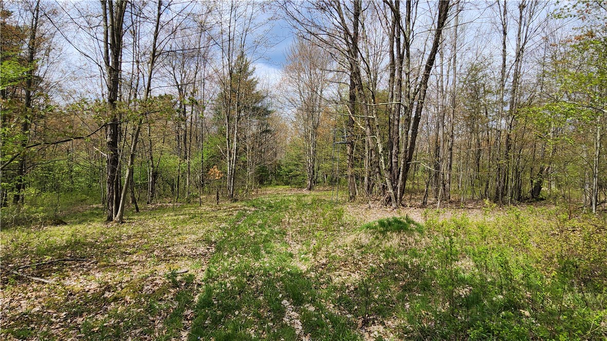 185 Lawrence Road Newark Valley, NY 13811 - Photo 40 of 50