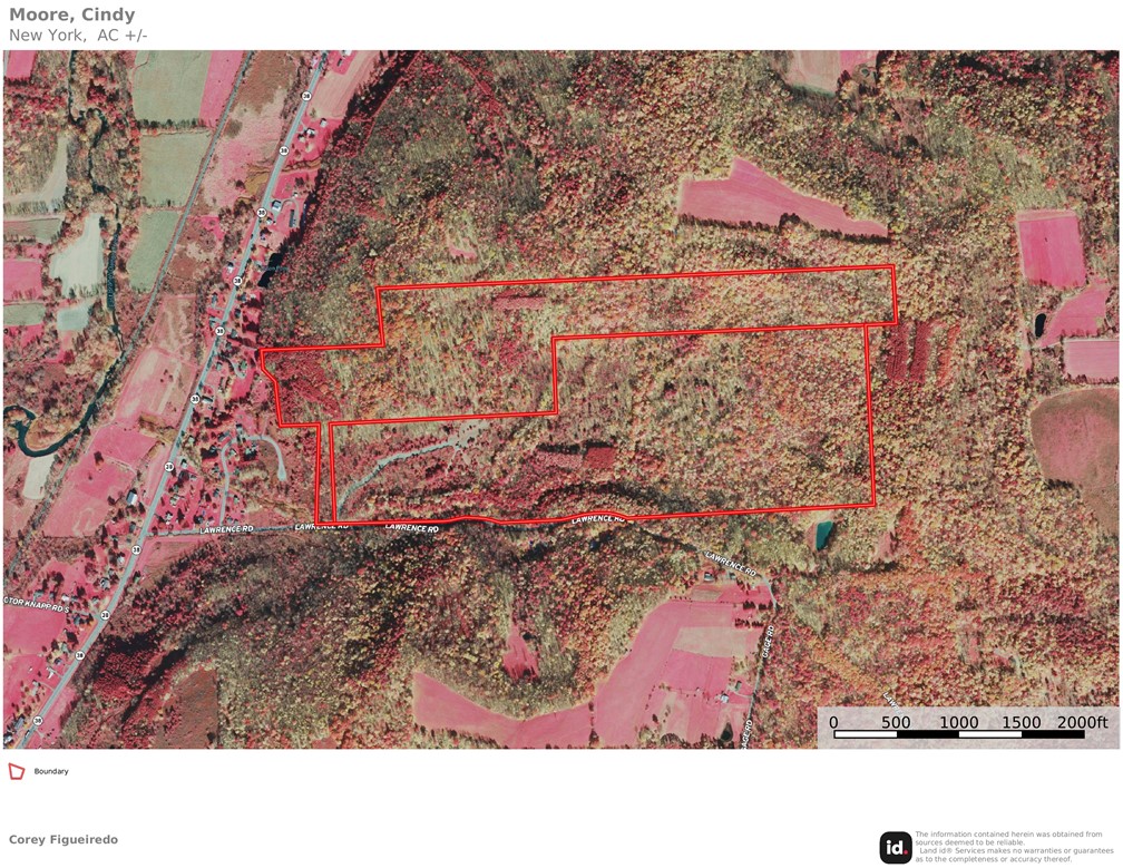 185 Lawrence Road Newark Valley, NY 13811 - Photo 48 of 50
