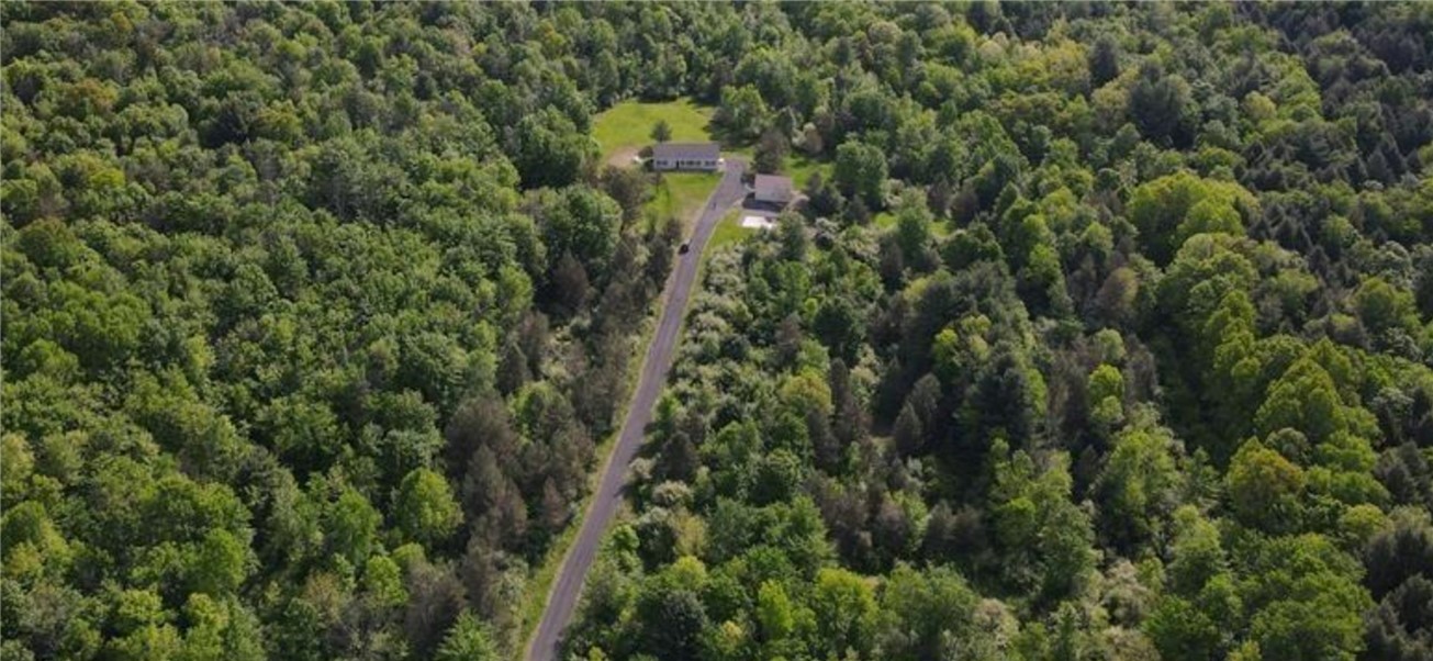 185 Lawrence Road Newark Valley, NY 13811 - Photo 9 of 50