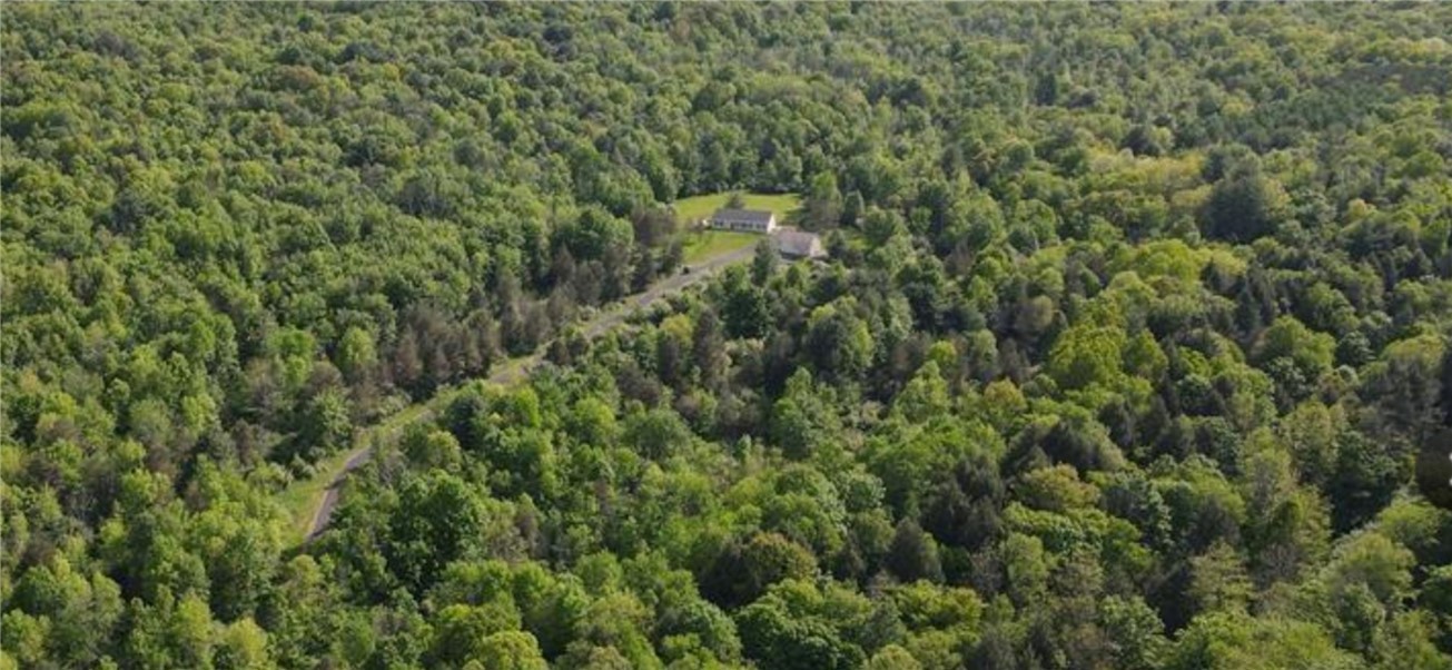 185 Lawrence Road Newark Valley, NY 13811 - Photo 10 of 50