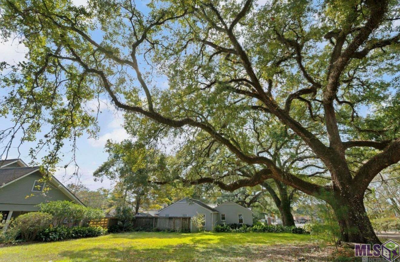 122 LSU Avenue Baton Rouge, LA 70808 - Photo 5 of 11