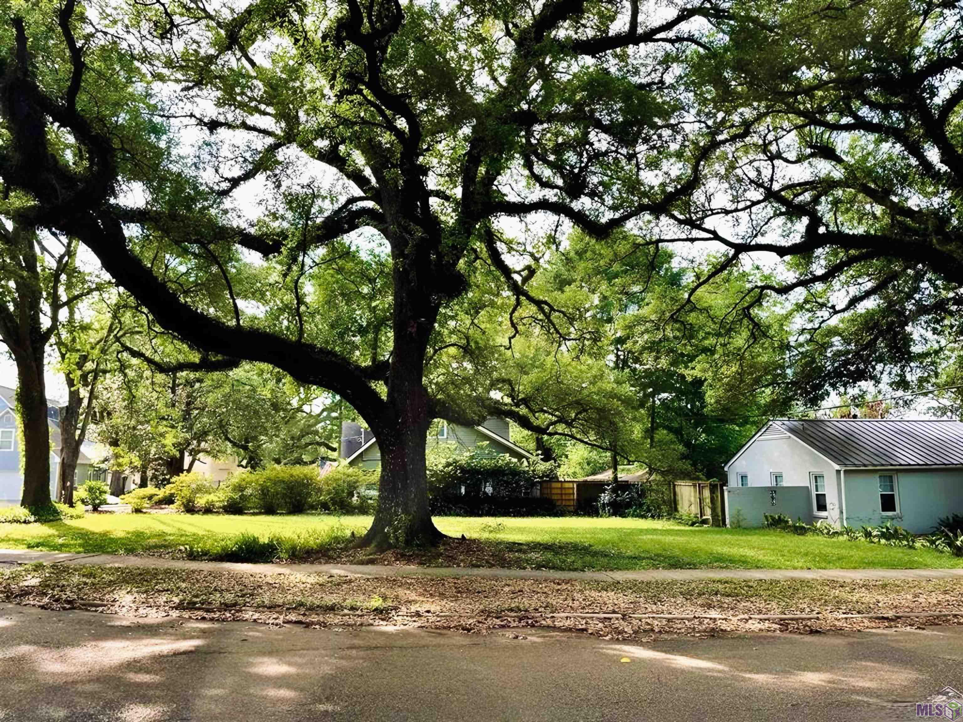 122 LSU Avenue Baton Rouge, LA 70808 - Photo 6 of 11