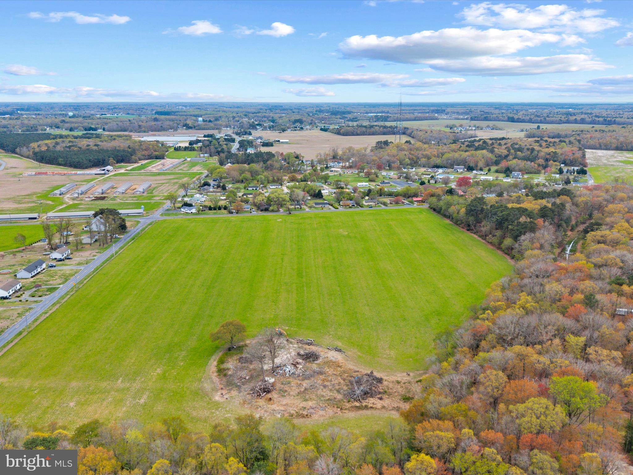 30046 Road 332 Dagsboro, DE 19939 - Photo 6 of 15 a view of a lake with a mountain