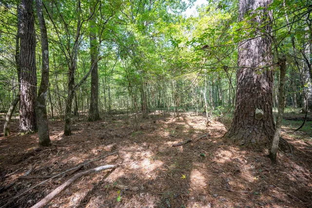 $496,190 | 4520 County Road 4520, Warren, TX 77664