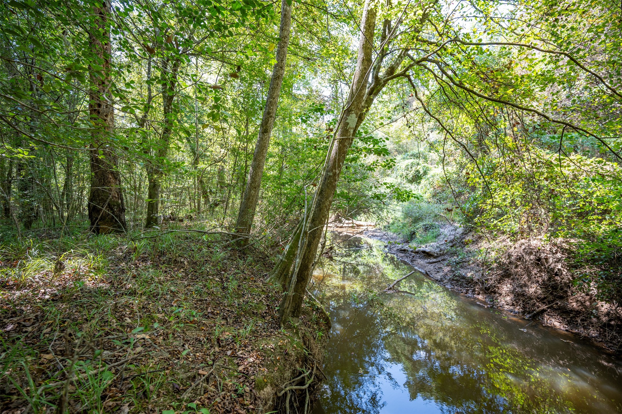 4520 County Road 4520 Warren, TX 77664 - Photo 4 of 11