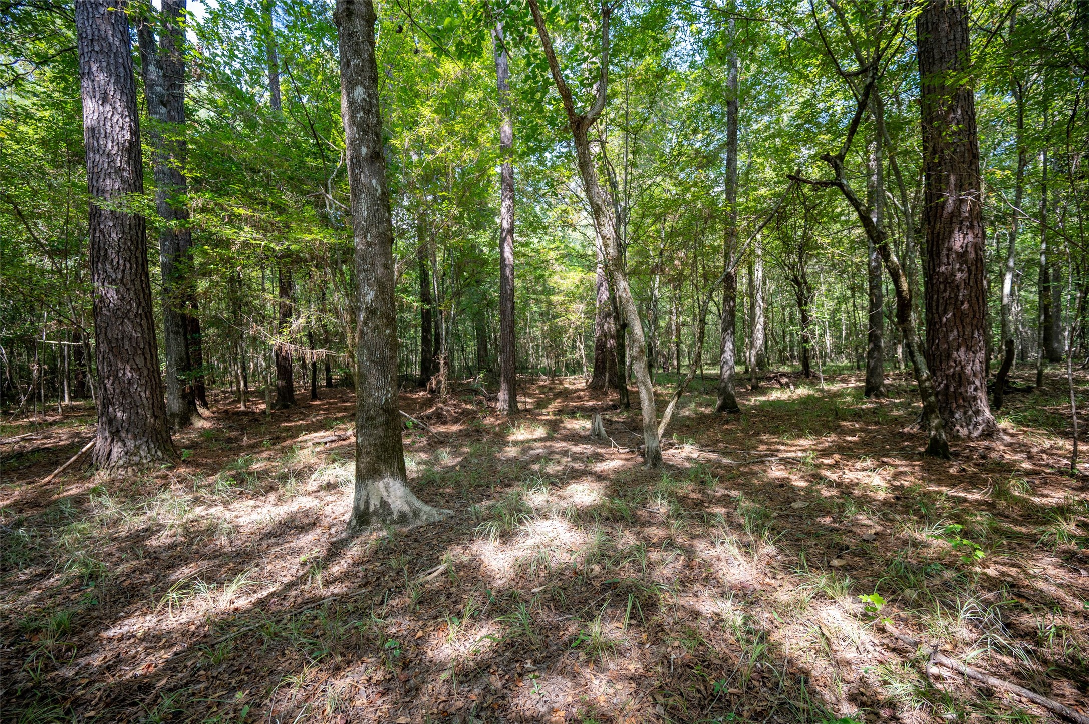 4520 County Road 4520 Warren, TX 77664 - Photo 7 of 11