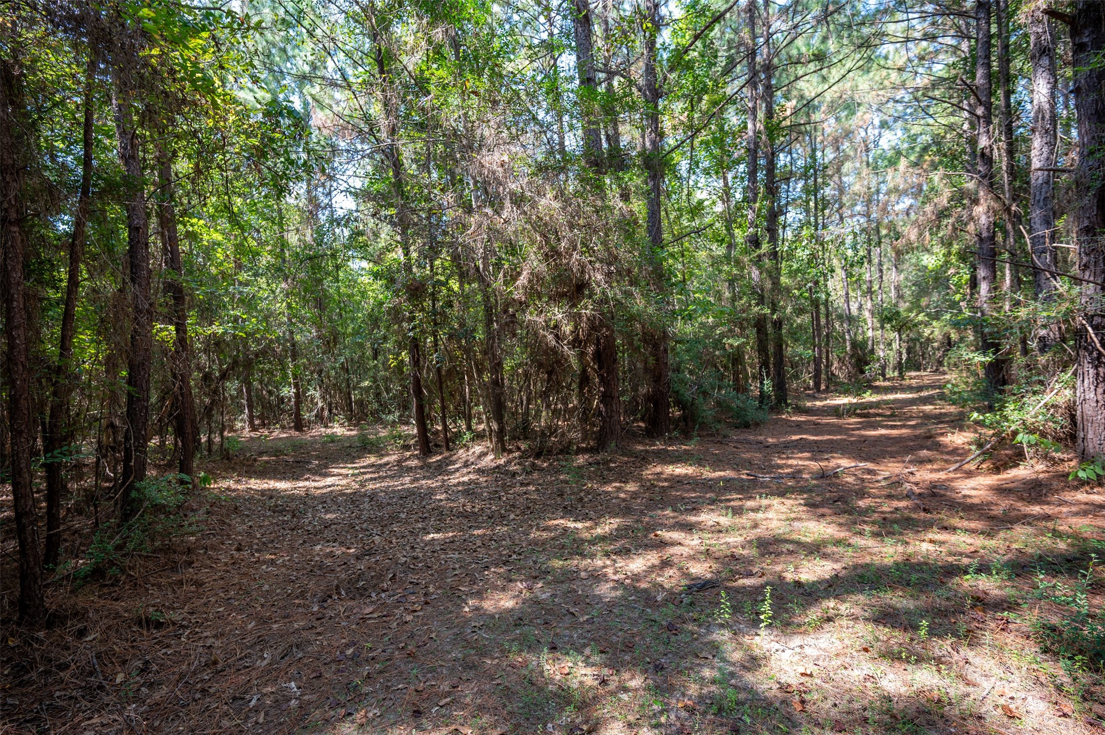 4520 County Road 4520 Warren, TX 77664 - Photo 8 of 11