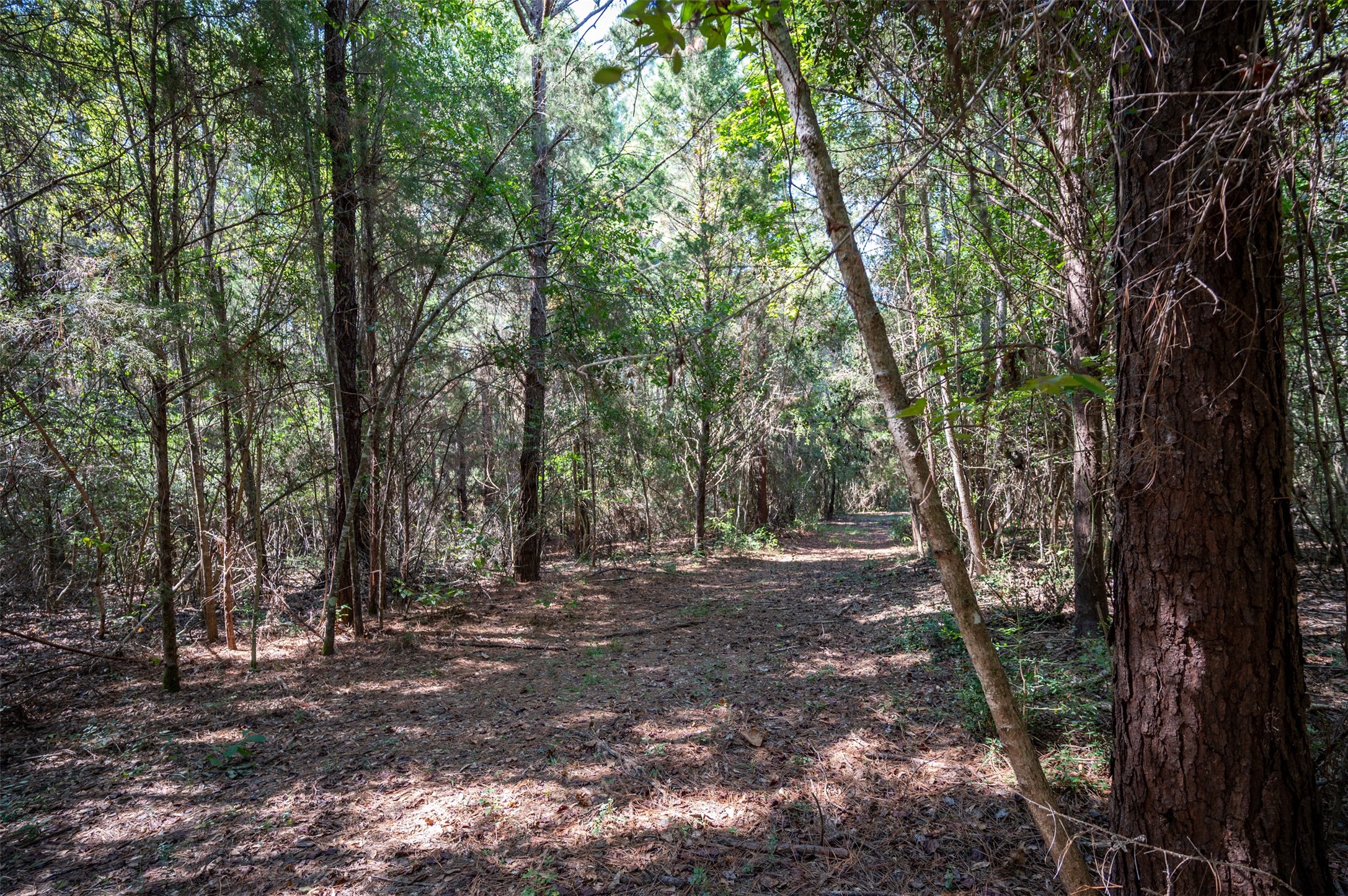 4520 County Road 4520 Warren, TX 77664 - Photo 9 of 11