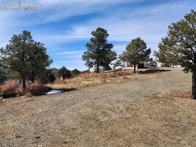 a view of a yard with a tree