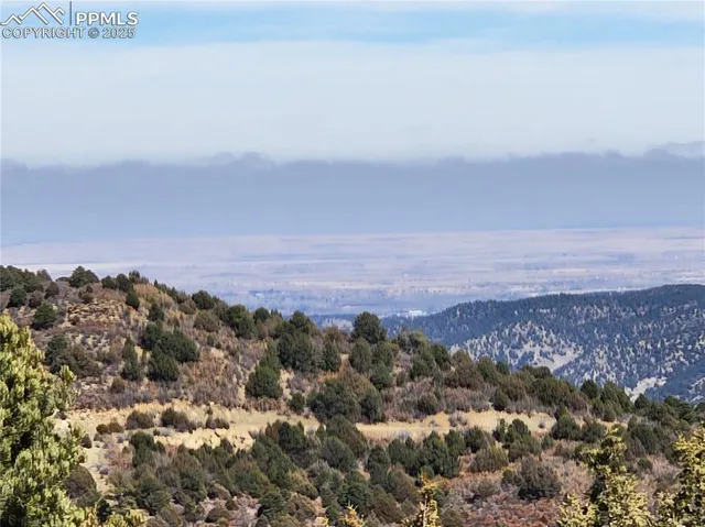 a view of a city with lush green forest