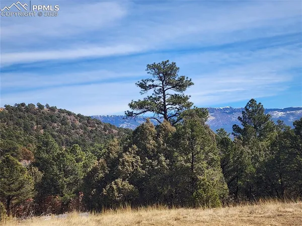 $385,000 | 33066 Westwood Drive, Trinidad, CO 81082