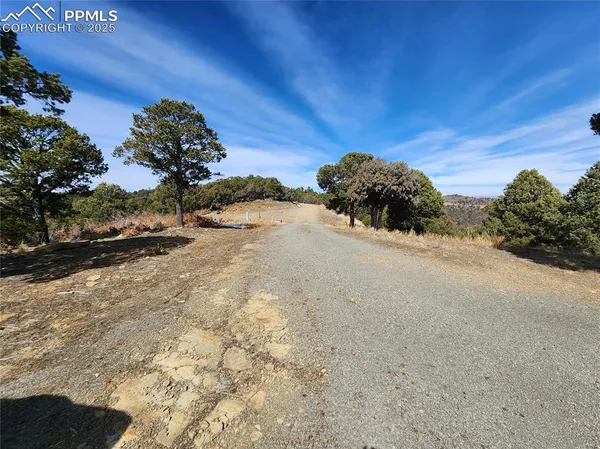 a view of a building in a forest