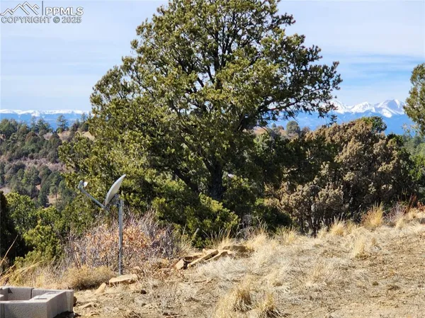 a view of a backyard of the house