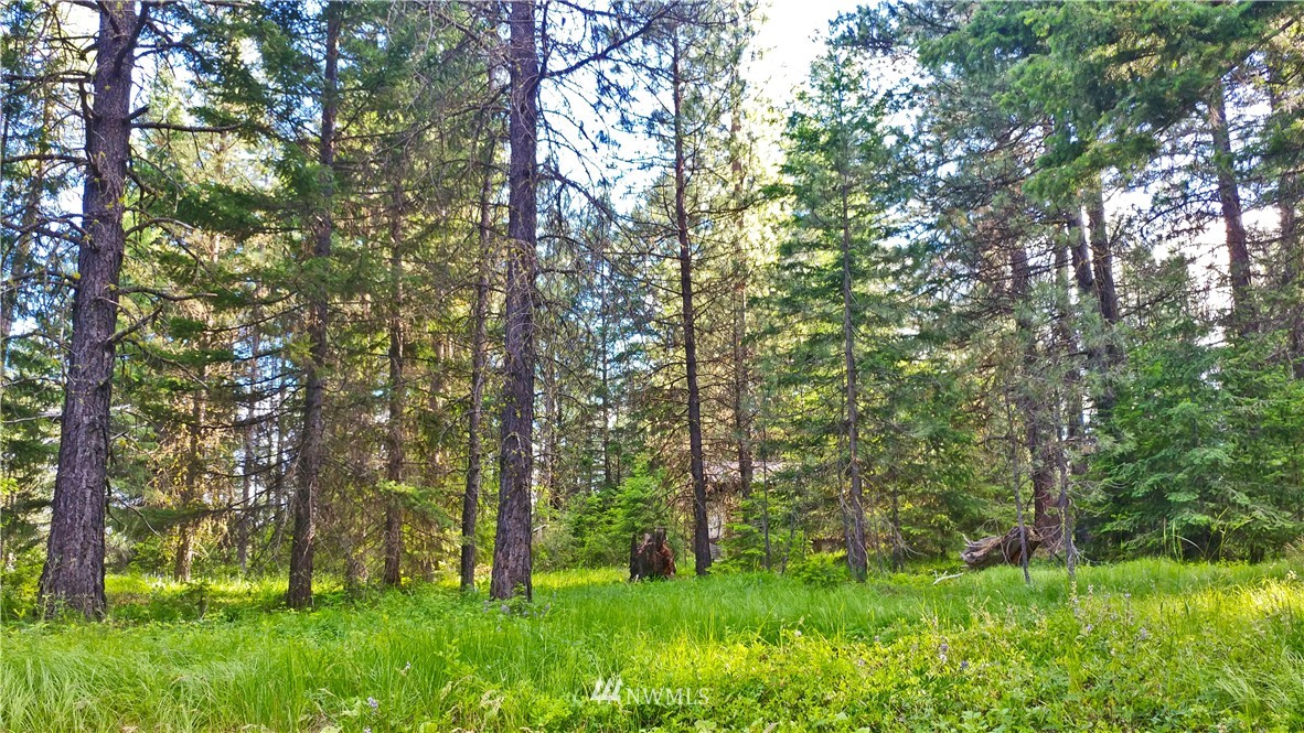 280 Sandy Ridge Road Cle Elum, WA 98922 - Photo 22 of 24 Gallery Image 22